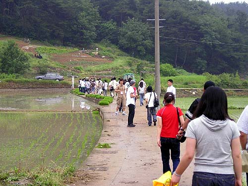 애들아 창림사지 가자! 저멀리 당간지주가 보인다. 